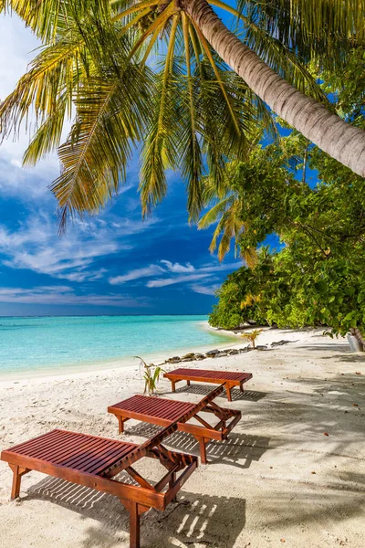 Tropischer Strand Auf Den Malediven Mit Palmen Und Einer Lebhaften — Stockfoto