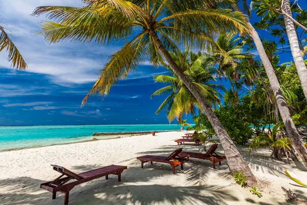 Tropisk Strand Maldiverna Med Palmer Och Livlig Inbjudande Lagun — Stockfoto