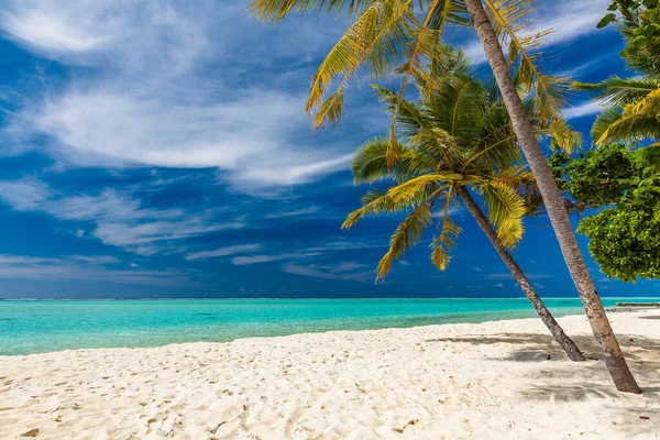 Tropisch Strand Malediven Met Palmbomen Levendige Uitnodigende Lagune — Stockfoto