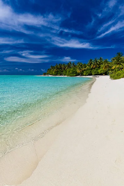 Tropischer Strand Auf Den Malediven Mit Palmen Und Einer Lebhaften — Stockfoto