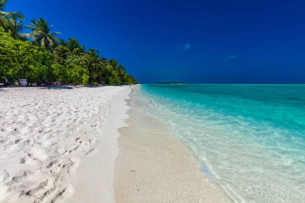 Тропический Пляж Мальдивах Пальмами Оживлённой Лагуной — стоковое фото