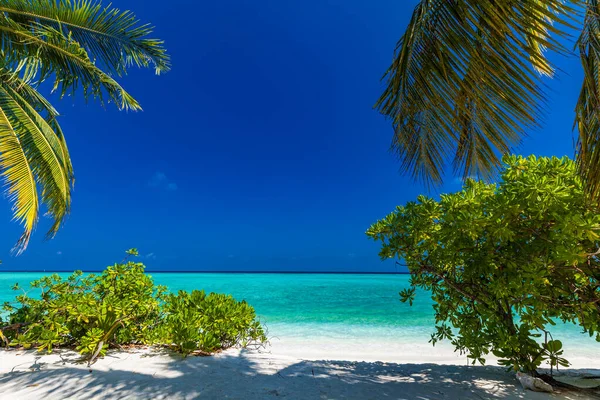 Spiaggia Tropicale Alle Maldive Con Palme Laguna Vibrante Invitante — Foto Stock