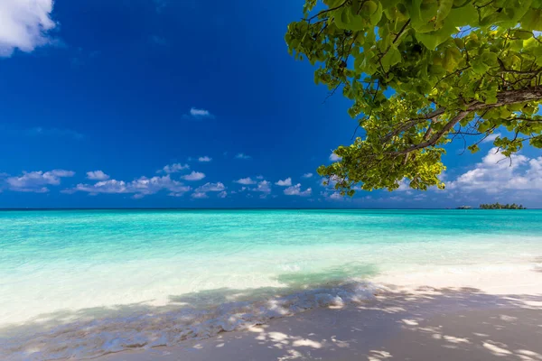 马尔代夫的热带海滩 有棕榈树和充满活力的吸引人的泻湖 — 图库照片