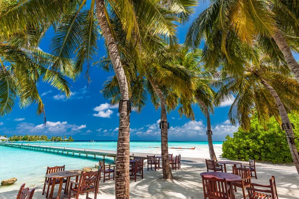 Plage Tropicale Aux Maldives Avec Palmiers Lagon Vibrant Accueillant — Photo