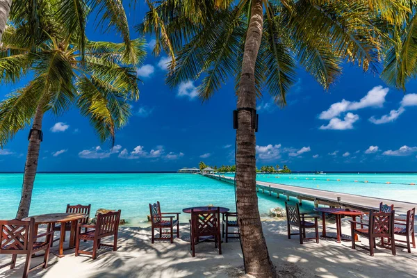 Tropisk Strand Maldiverna Med Palmer Och Livlig Inbjudande Lagun — Stockfoto