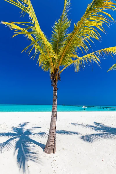 Praia Areia Branca Maldivas Com Incrível Lagoa Azul Céu Azul — Fotografia de Stock