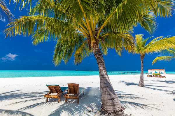 Tropisk Strand Maldiverna Med Palmer Och Livlig Inbjudande Lagun — Stockfoto