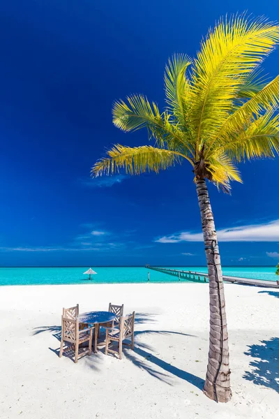 Praia Tropical Maldivas Com Palmeiras Lagoa Convidativa Vibrante — Fotografia de Stock