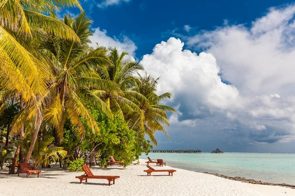 Тропічний Пляж Мальдівах Пальмами Яскравою Лагуною — стокове фото