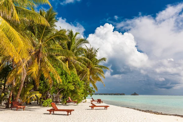 Plage Tropicale Aux Maldives Avec Palmiers Lagon Vibrant Accueillant — Photo