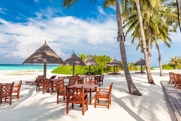 Tropisch Strand Malediven Met Palmbomen Levendige Uitnodigende Lagune — Stockfoto