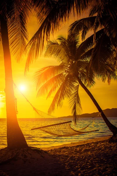 Silueta de la hamaca con las palmeras en un hermoso al atardecer —  Fotos de Stock