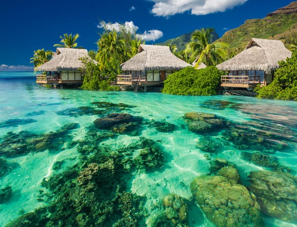 Beautiful above and underwater landscape of a tropical resort — Stock Photo, Image