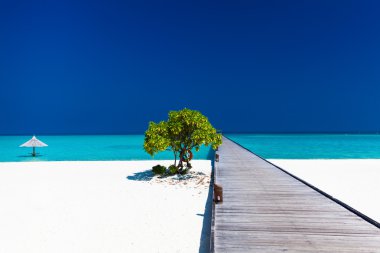 Beach with wodden jetty and single tree clipart