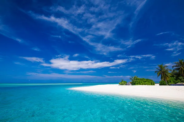 몰디브의 열대 해변 — 스톡 사진
