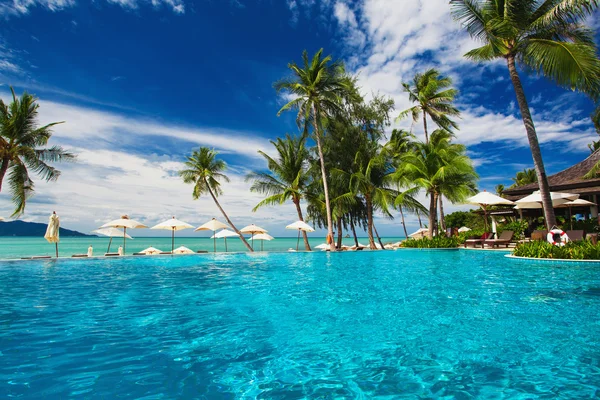 Swimming pool on the beach with palm trees Royalty Free Stock Photos