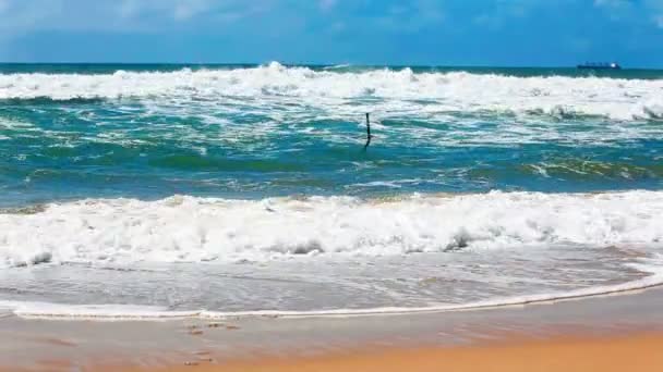 Store bølger i stranden – Stock-video