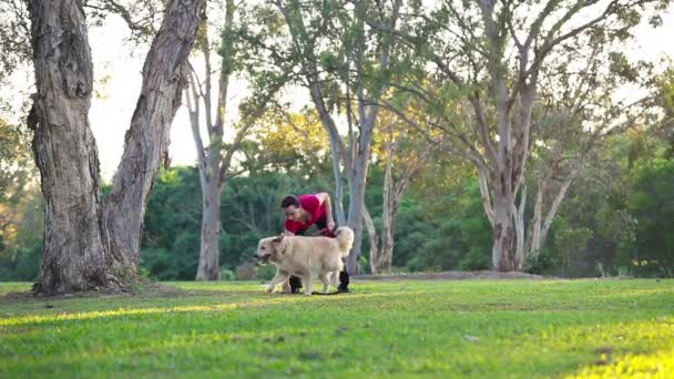 Perro divirtiéndose y buscando un palo — Vídeo de stock