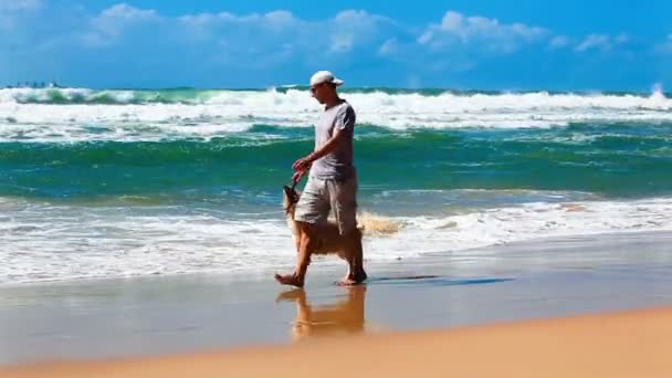 Właściciel mężczyzna na plaży z psem — Wideo stockowe