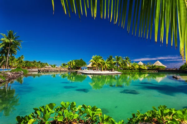 Tropische resort met een groene lagune en palm bomen — Stockfoto