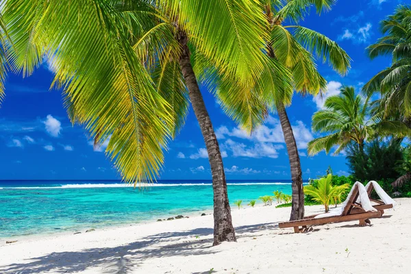 Łóżka plażowe pod palmy kokosowe z widokiem na ocean, kucharz Isl — Zdjęcie stockowe