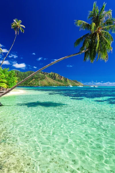 Plaża publiczna na Polinezji Francuskiej — Zdjęcie stockowe