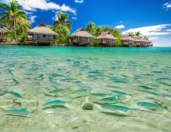 Vissen zwemmen in de lagune met overwater villa 's — Stockfoto