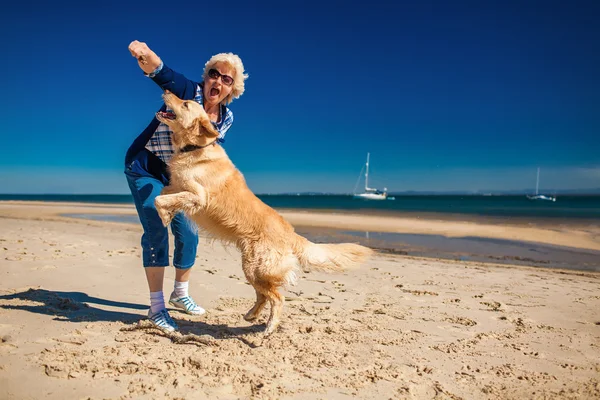 Mujer jugando en la playa con retriever — Foto de Stock