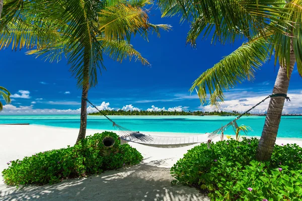 Empty hammock between palm trees on beach — Stock Photo, Image