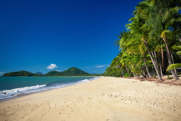 Tropik sahilde palmiye ağaçları — Stok fotoğraf