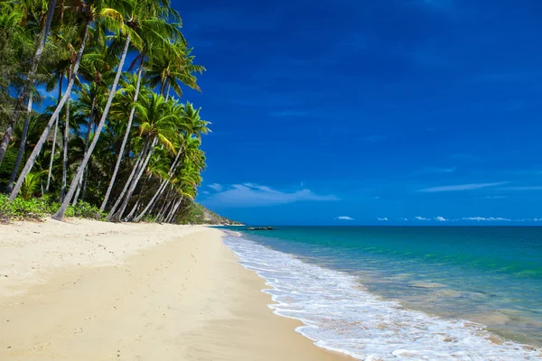 Praia tropical deserta com palmeiras — Fotografia de Stock