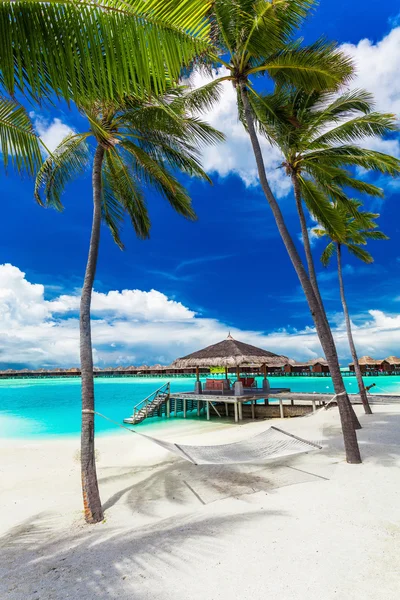 Hammock between palm trees on tropical beach — Stock Photo, Image