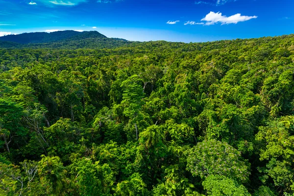 Rain forest from air near Kuranda in Australia — Stock Photo, Image
