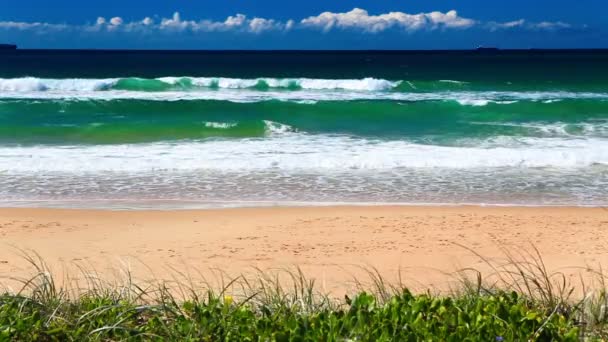 Ωκεανό στην παραλία Χρυσή ακτή στην Αυστραλία — Αρχείο Βίντεο