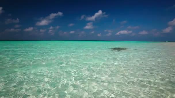 Lagoa de turquise limpa em uma ilha tropical com ondas — Vídeo de Stock