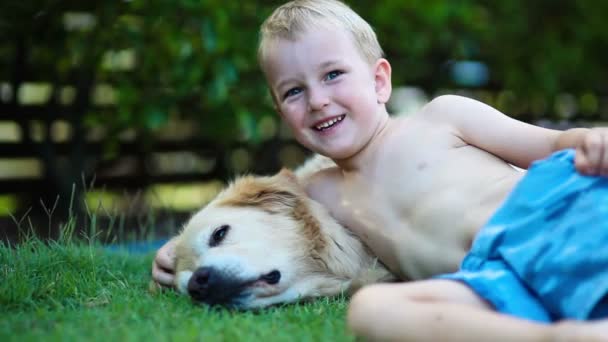 Boy and his golden retriever in the grass — Stock Video