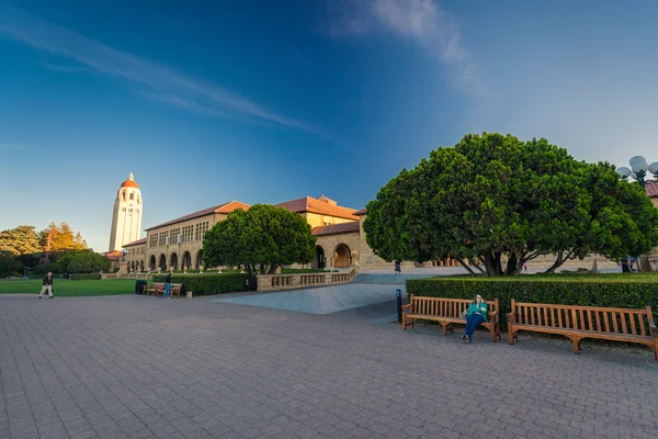 Stanford University and park — Stock Photo, Image