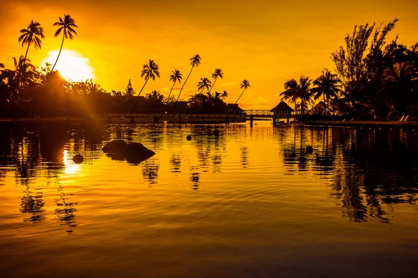 Sunset in tropical paradise with palm trees — 图库照片