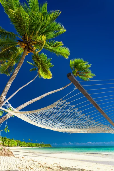 Hangmat onder de palmbomen — Stockfoto