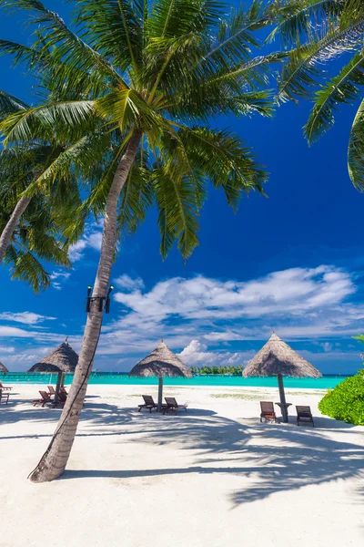 Sillas, sombrillas y palmeras en la playa — Foto de Stock