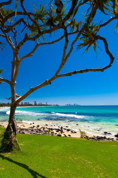 Skyline Gold Coast — Stock Fotó