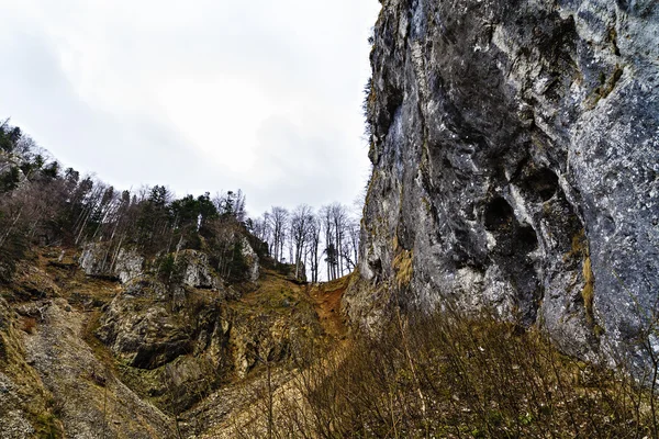 Kayalık dağ manzarası Karpat Romanya — Stok fotoğraf