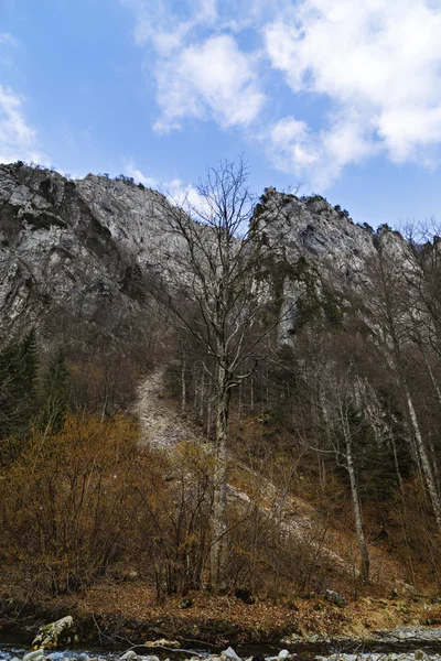 Klippiga bergslandskap i Karpaterna Rumänien — Stockfoto