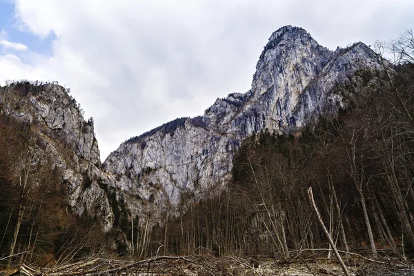 Paisaje rocoso de montaña en Rumania Cárpatos — Foto de Stock