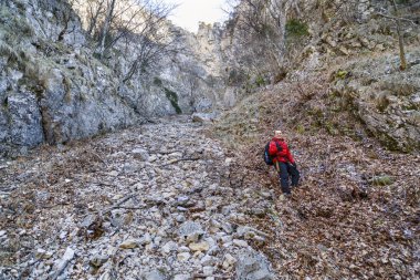 rocky dağlarında hiking sırt çantası olan adam