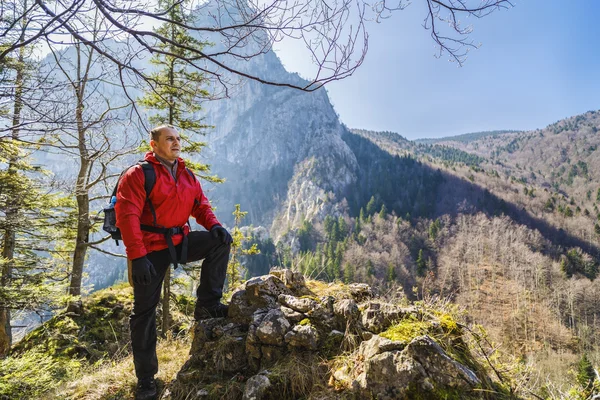 男性ハイカー登山道の景色を楽しみながら — ストック写真