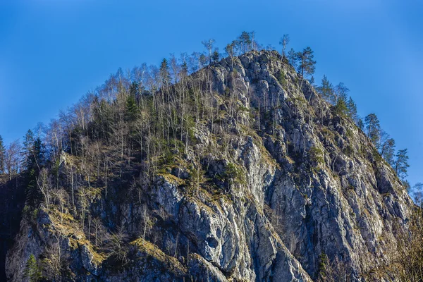 Krajina s rocky mountains NP Buila, Karpaty — Stock fotografie
