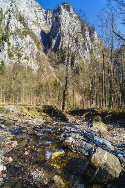 Krajina s rocky mountains NP Buila, Karpaty — Stock fotografie