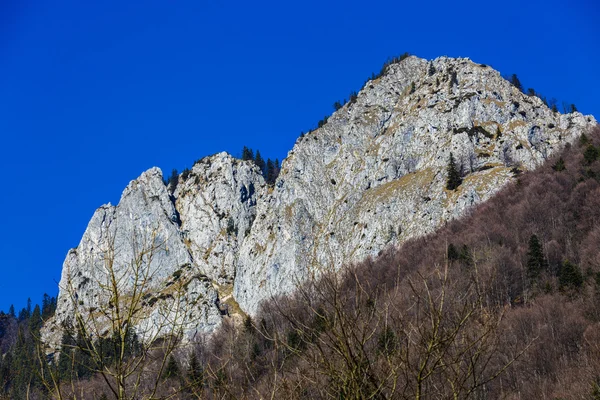 Krajina s rocky mountains NP Buila, Karpaty — Stock fotografie