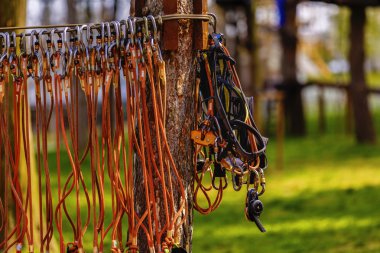Koşum takımı ve diğer koruyucu giysiler kaya dağcılar için